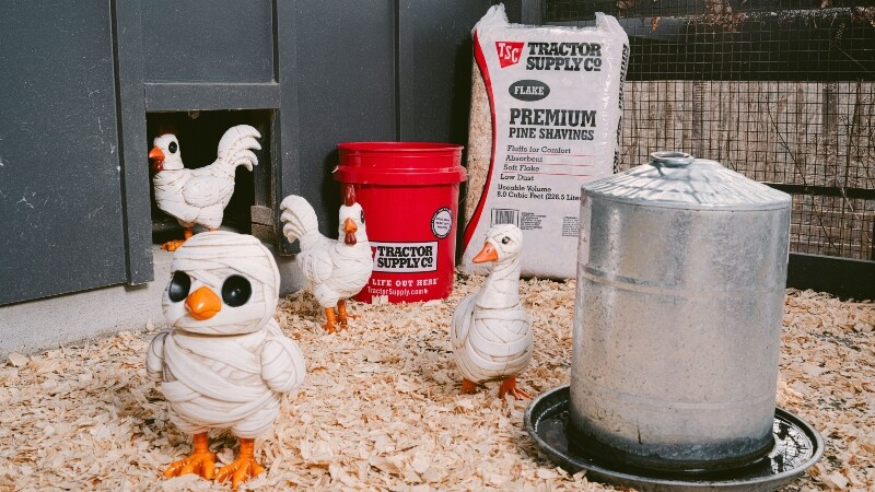 Tractor Supply Company Launches Farm-Inspired Halloween 2026 Collection